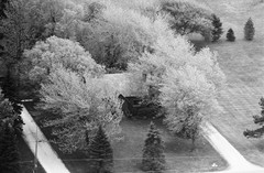 009-vlu-17