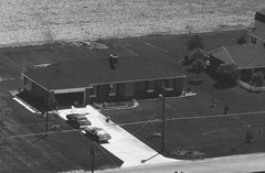 019-vlu-21