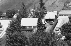 025-vlu-31