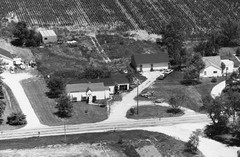 035-vlu-19