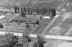 036-vlu-31