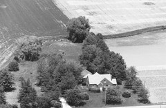 042-vlu-31