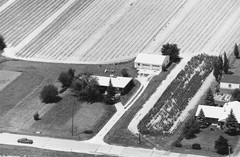 046-vlu-21