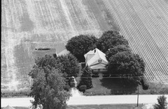 049-vlu-06