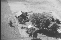 001-glu-08