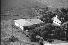 003-glu-36