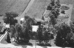 004-glu-16