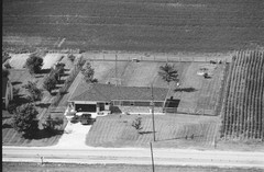 005-glu-29