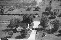 006-glu-11
