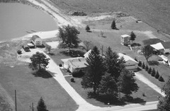 008-glu-19