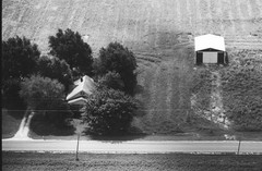 009-glu-08