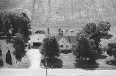 010-glu-11