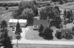 010-glu-17