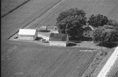 011-glu-19