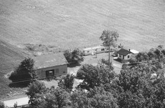 012-glu-20