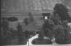 013-glu-11