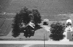 014-glu-20