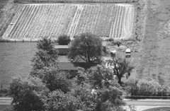 014-glu-25