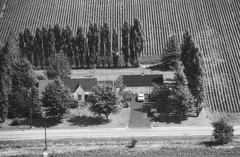 016-glu-17