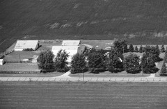 018-glu-25
