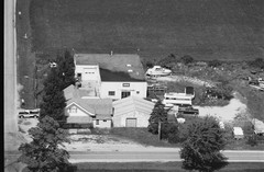 019-glu-17