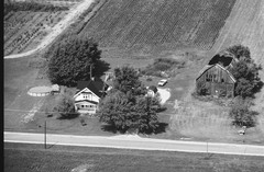 019-glu-20