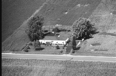 019-glu-28