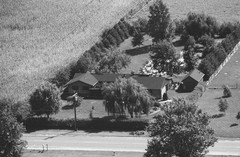 020-glu-11