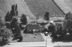 020-glu-13