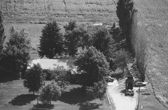 020-glu-17