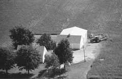 020-glu-18