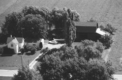 020-glu-19