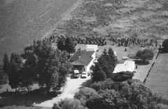 020-glu-28