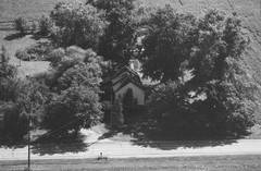 020-glu-37