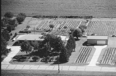 021-glu-18