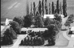 021-glu-19