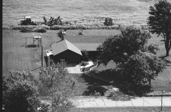 023-glu-12