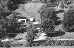 024-glu-11