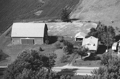 024-glu-14