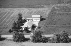 024-glu-25