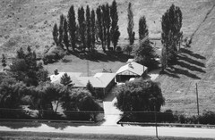 024-glu-29