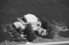 026-glu-10