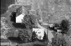 031-glu-05