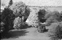 031-glu-14