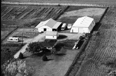031-glu-19