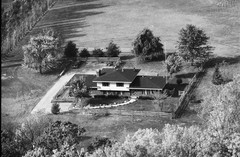 031-glu-20