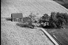 031-glu-24