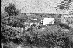 031-glu-26