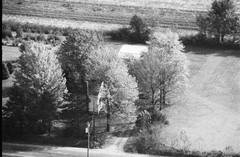 031-glu-29