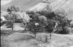 031-glu-31
